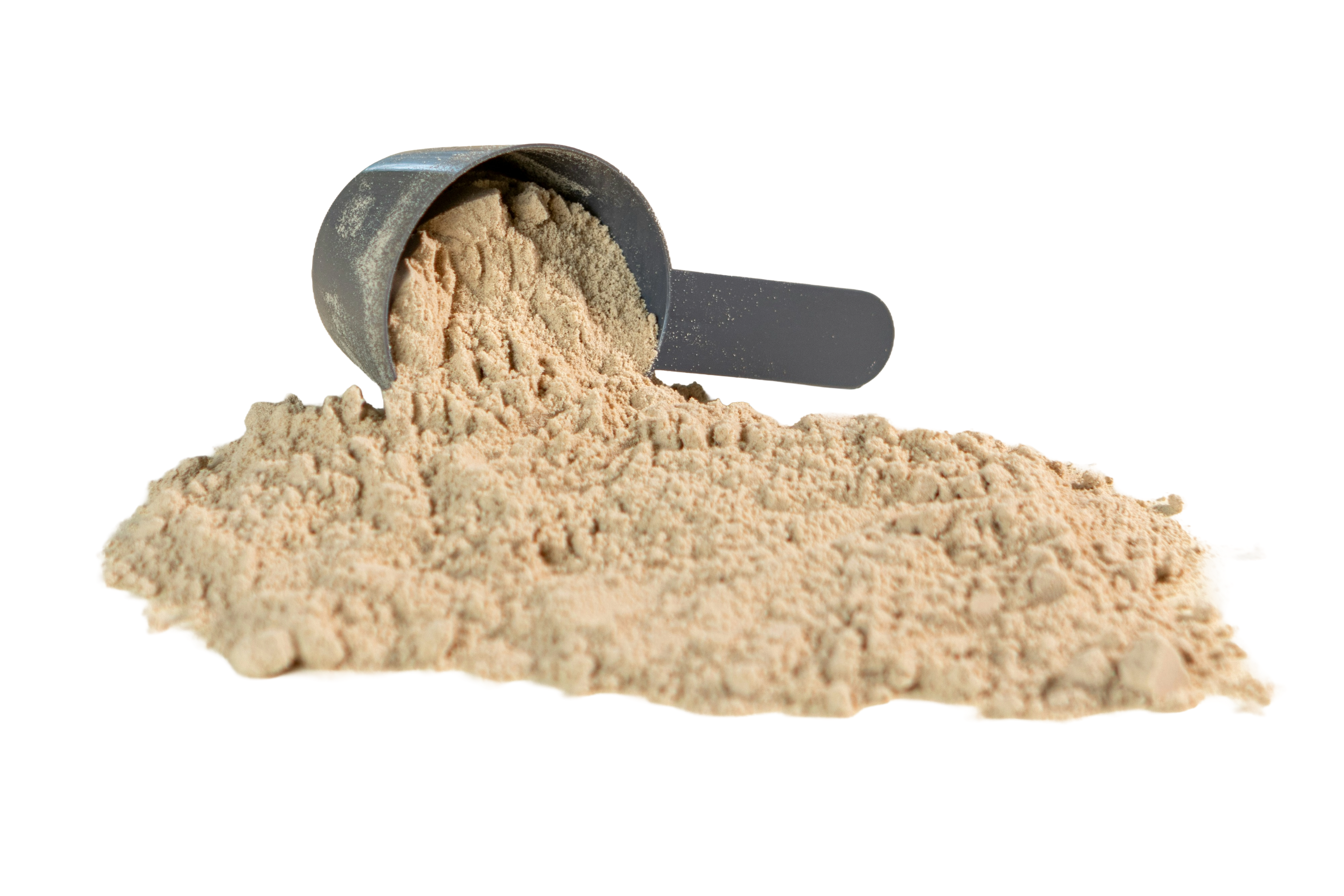 Bodylab24 Whey Protein